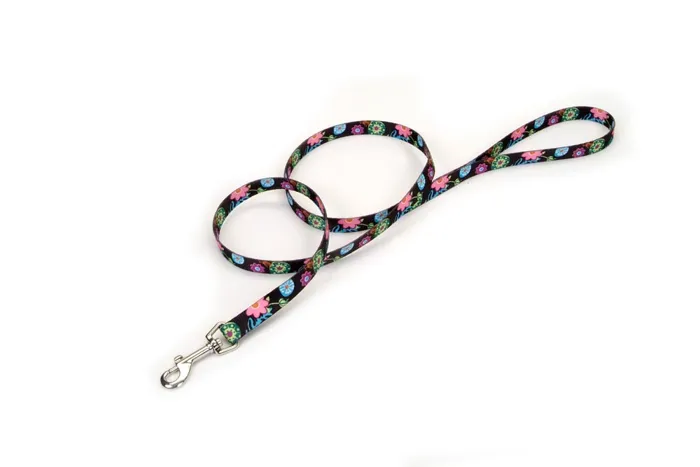 Dog Leash - Wildflower 3/8" X 06'