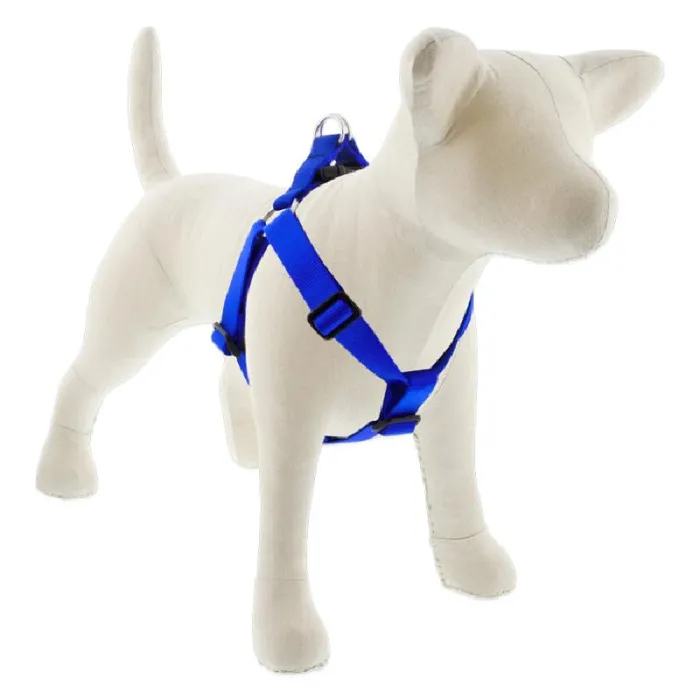 Lupine 1" Step In Harness Blue 19"-28"