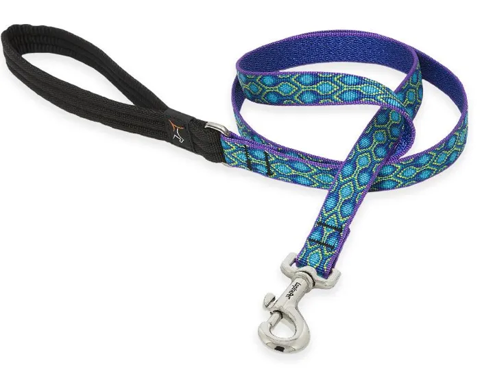 1" Rain Song 6' Leash