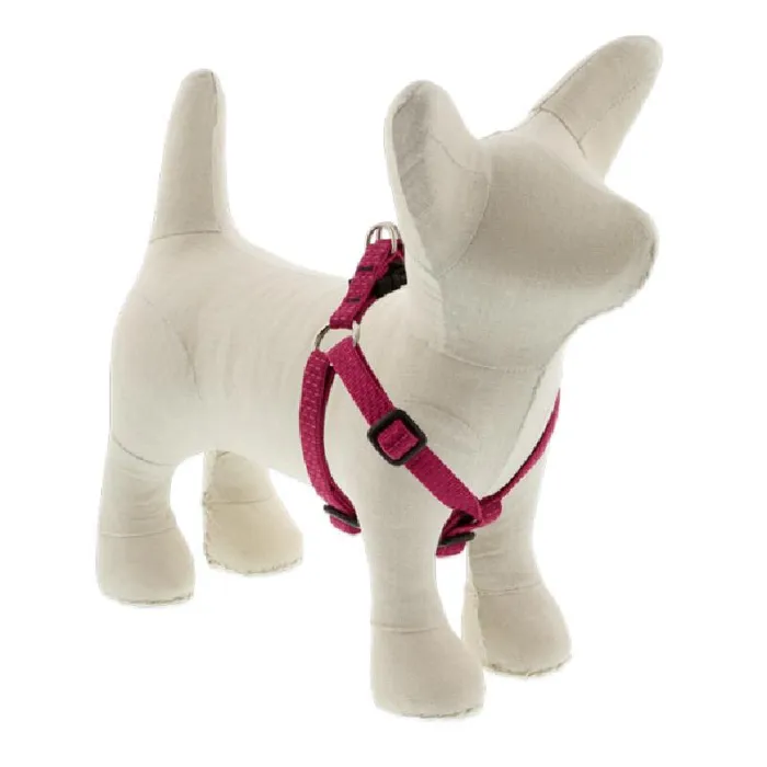Lupine 1/2" Berry 10"-13" Step In Harness