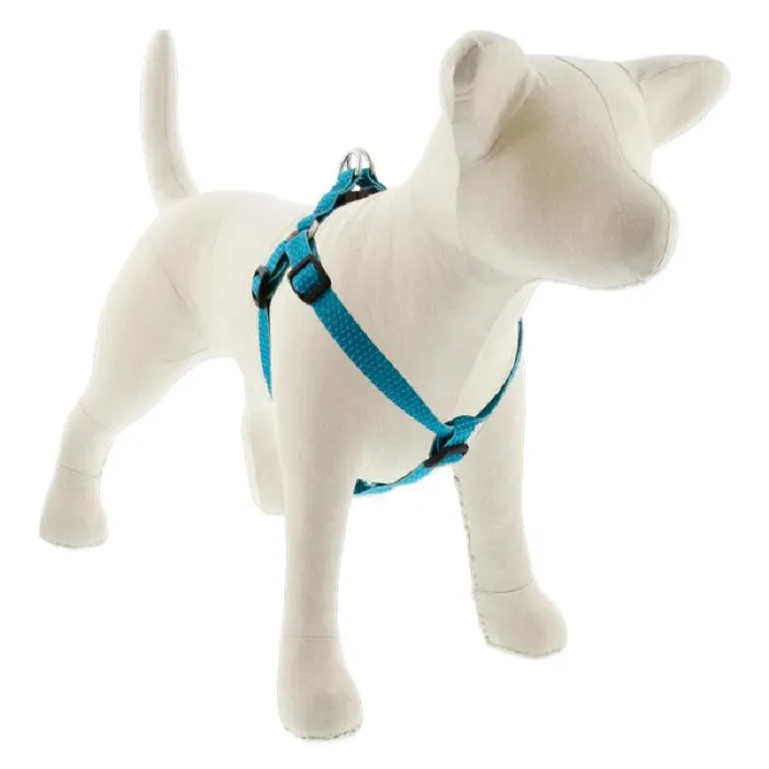 Lupine 3/4" Tropical Sea 15"-21" Step In Harness