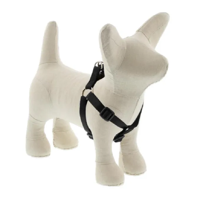 Lupine Solids - Harness 1/2" Black 12 - 18"
