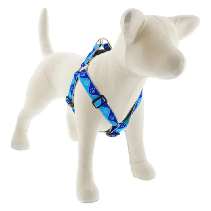 Hl 1in Blue-paws 19-28 Step In Hrns
