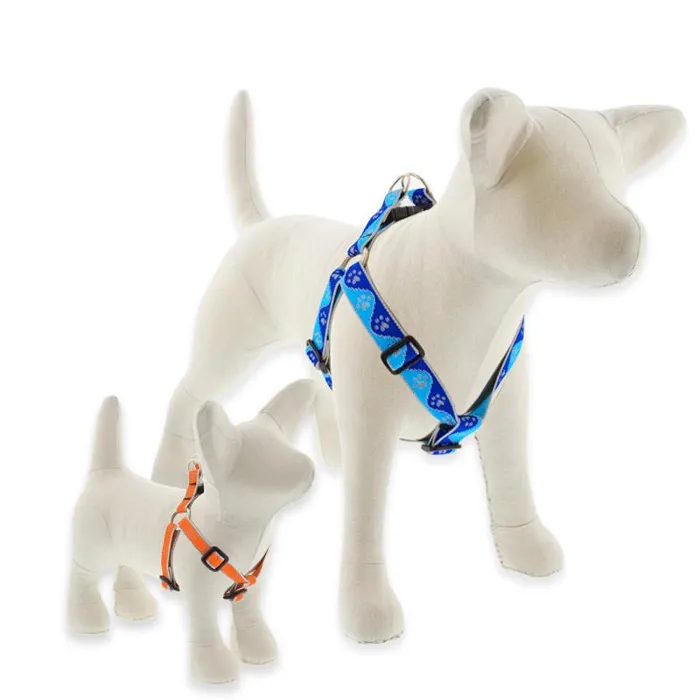 Hl 3/4in Blue-paws 15-21 Step In Hrns